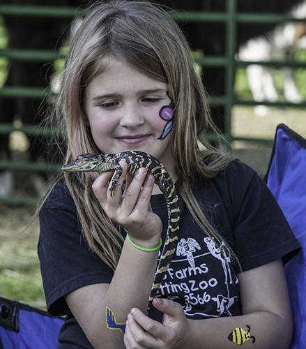 Ted Howell D3-28.jpg