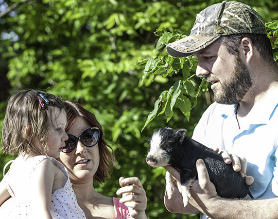 Ted Howell D3-36.jpg