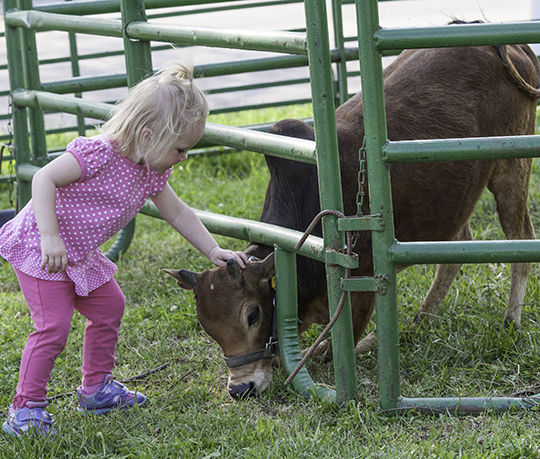 Ted Howell D3-48.jpg