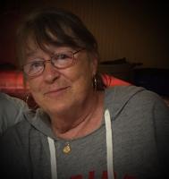 Sheila Ann McHawes, 69, Herculaneum