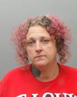 Fenton woman charged with murder