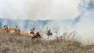This brush fire in rural De Soto burned between 4 and 5 acres.