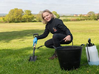 dogpooplady_featured