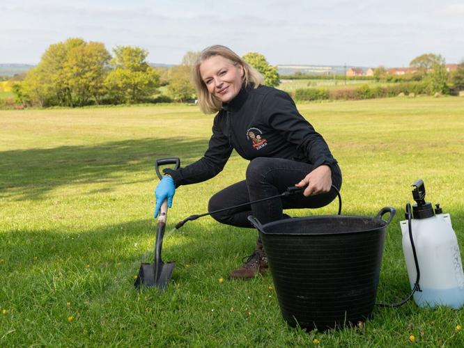 dogpooplady_featured