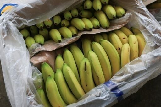 Bananas are another product that will now be exempt from certain US tariffs