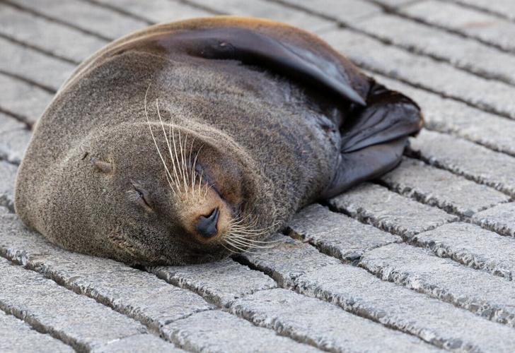 pexels-ozram-33837209