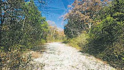 Most of the area studied is heavily wooded, with some open areas and a gravel road running through it.