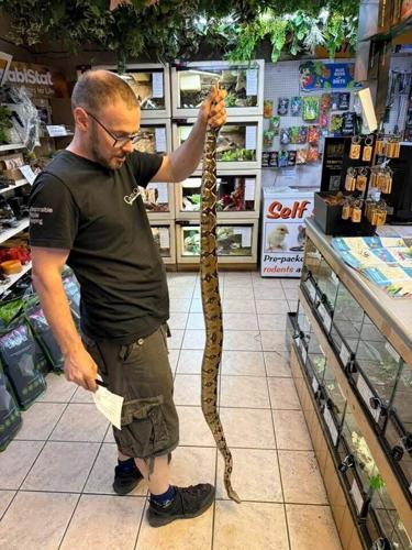 Golfer left shocked after ball lands next to 6ft snake on golf course