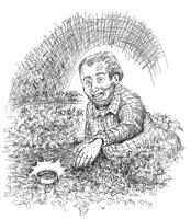 'Muah-ha-ha' – a Halloween column needs sound effects