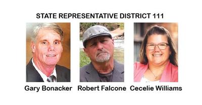 State Representative District 111