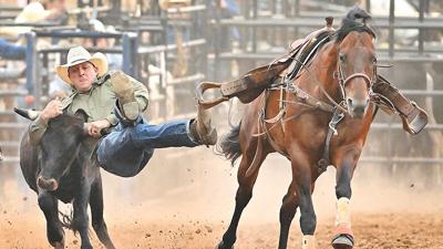 Cowboy Jake Thomas of Buncombe, Ill., literally grabs the bull by the horns during the steer wrestling  finals on June 10.