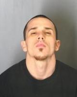 Festus man gets seven years following several drug charges