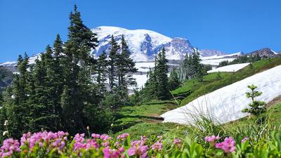 For last year’s contest, Daniel Killian of Barnhart sent in a picture he took at Mount Rainier National Park in Washington in July 2022.