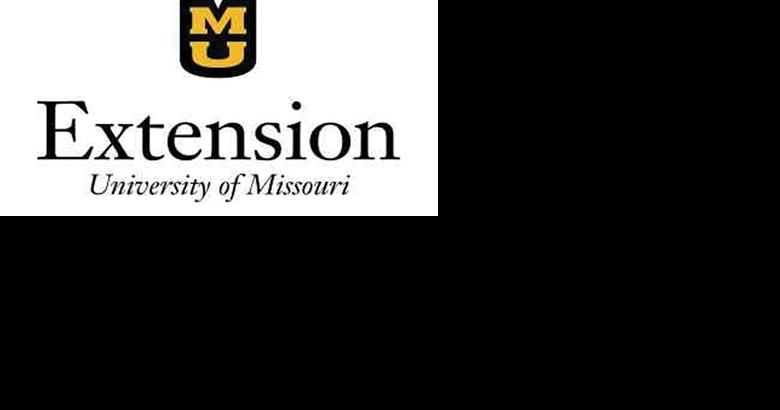 Extension Service is looking for digital ambassadors | Local News - Vimarsana News
