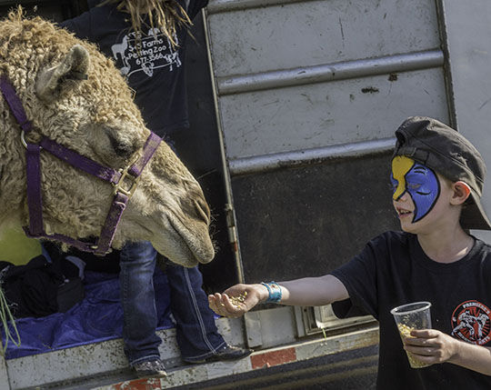 Ted Howell D4 -36.jpg