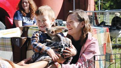 Anderson Grass, 3, receives a kiss from a baby kangaroo at the 2023 Byrnes Mill Fall Festival. Grass’ mother, Anna Watson of High Ridge, looks on.