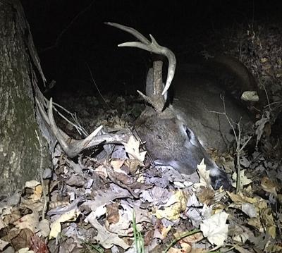 9 point buck CWD