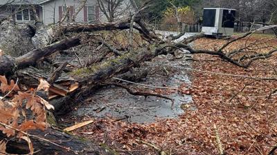 11-25-20 fallen tree knocks out power hillsboro