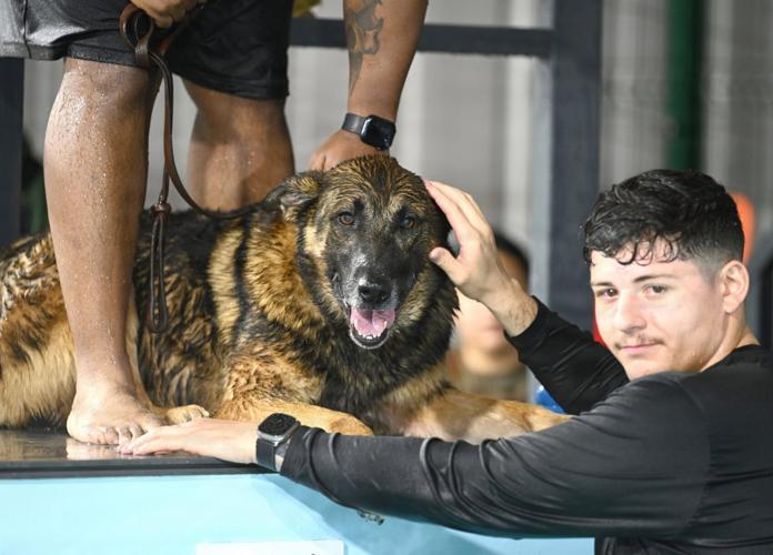 RAFM MWDs perform first water-confidence training in tri-base, UK