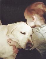 Corona, a service dog, does tricks