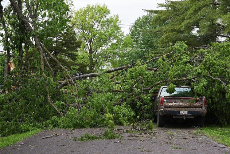 A fallen tree blocks a road
