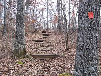 walking path