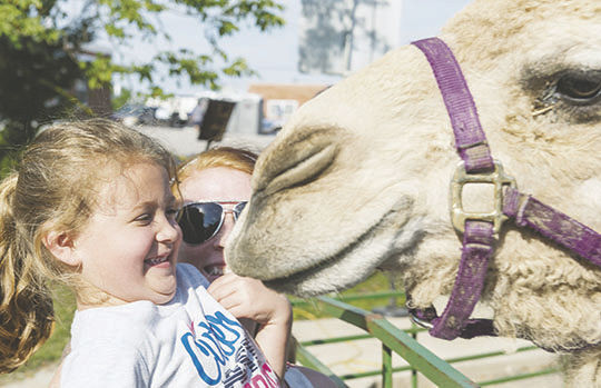 Ted Howell D4 -50.jpg