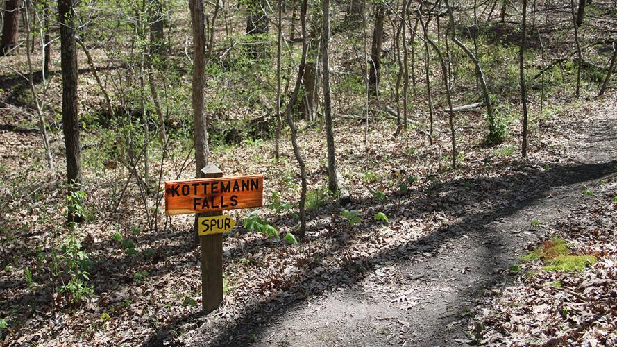 IMG_0236.JPG