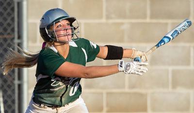 Three Dragons among six local players named to all-state softball teams ...