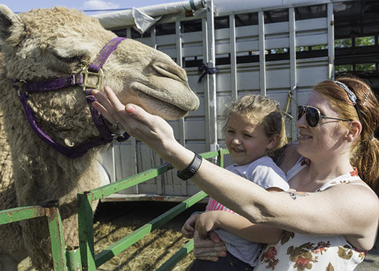 Ted Howell D4 -56.jpg