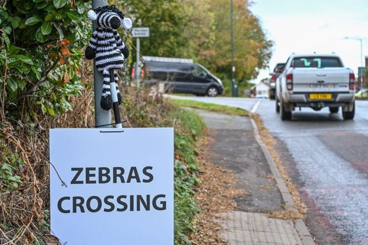 Villagers install fake knitted speed cameras to keep an eye on dangerous drivers
