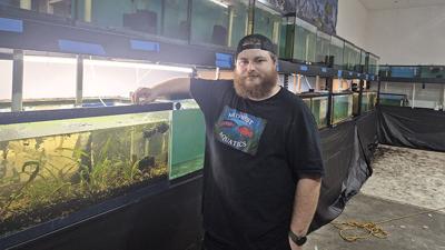 Caleb Gipson has opened Midwest Aquatics, 4413 Jeffco Blvd., south of Arnold.