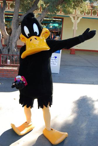 daffy duck