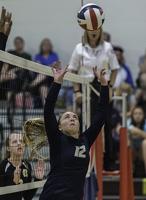 Five from county selected all state
