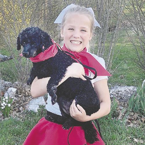 Poodle and a poodle skirt