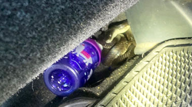 snake in a car