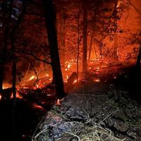 Eureka firefighters put out brush fire outside Tyson Research Center