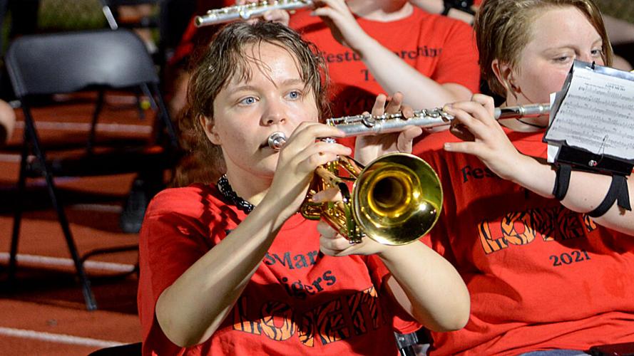 festus bands (5).jpg