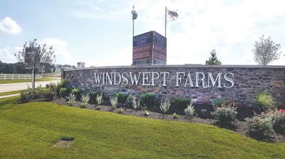 Windswept Farms
