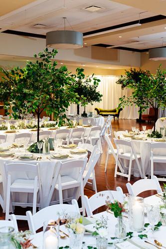 aRay of Events decor