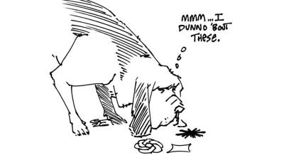 10-29-26 cartoon