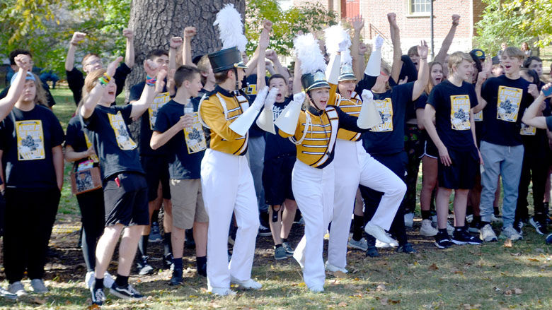 festus bands (1).JPG