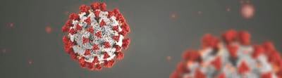 coronavirus cell