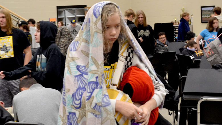 festus bands (2).JPG