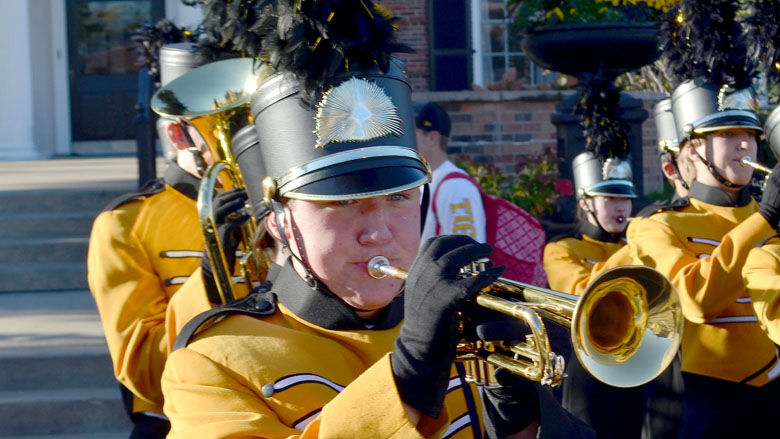 festus bands (3).JPG