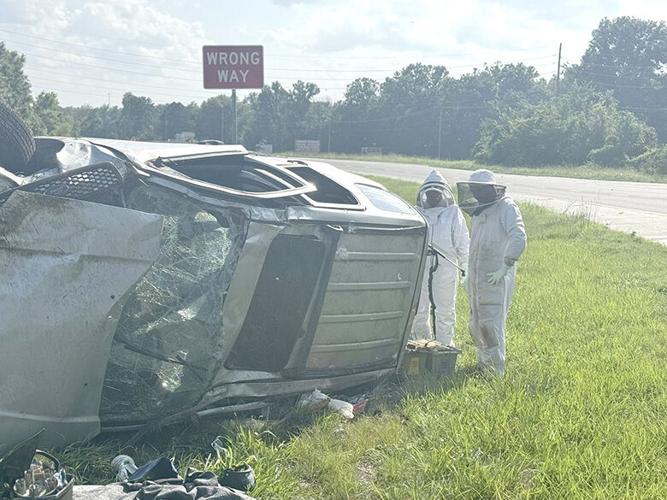 Cedar Hill Fire chief saves colony of bees let loose during traffic accident