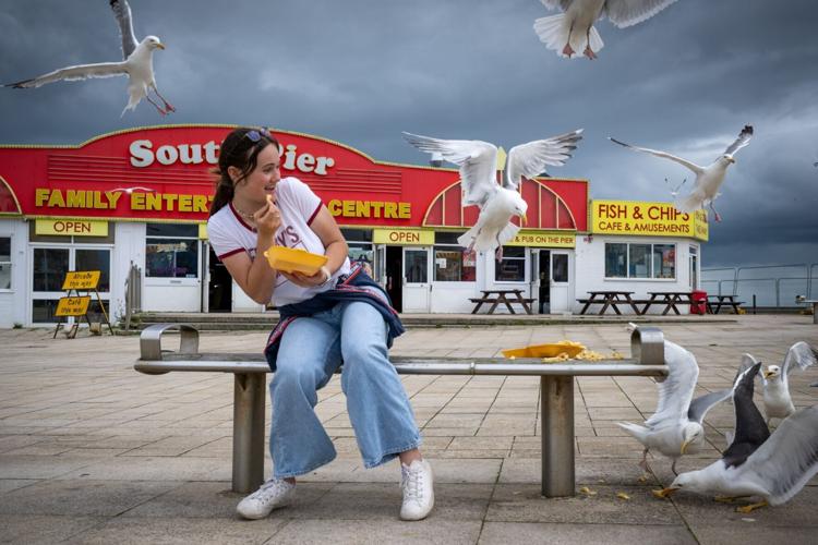 Shouting at seagulls makes them more likely to leave your food alone research shows