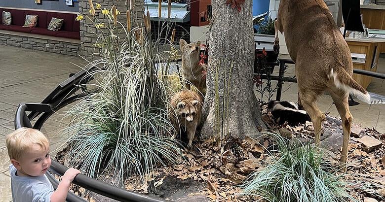 OUTDOORS: Nature center celebrates 35 years with passport program