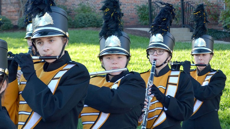 festus bands (8).JPG