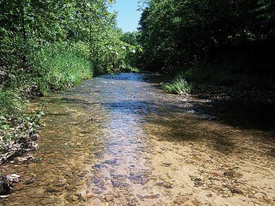LaBarque Creek